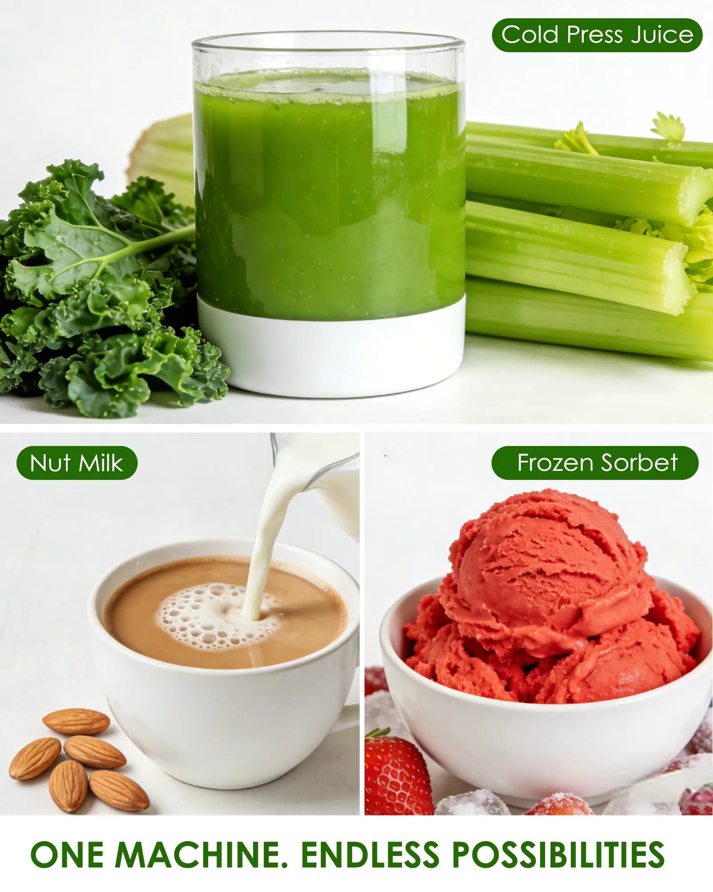 3 in 1 Masticating Juicer for Juice Sorbet & Nut Milk