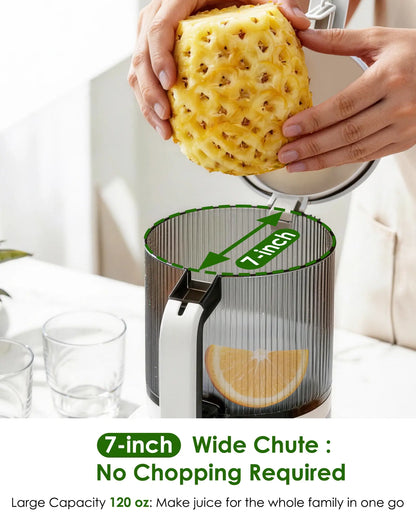 3 in 1 Masticating Juicer for Juice Sorbet & Nut Milk