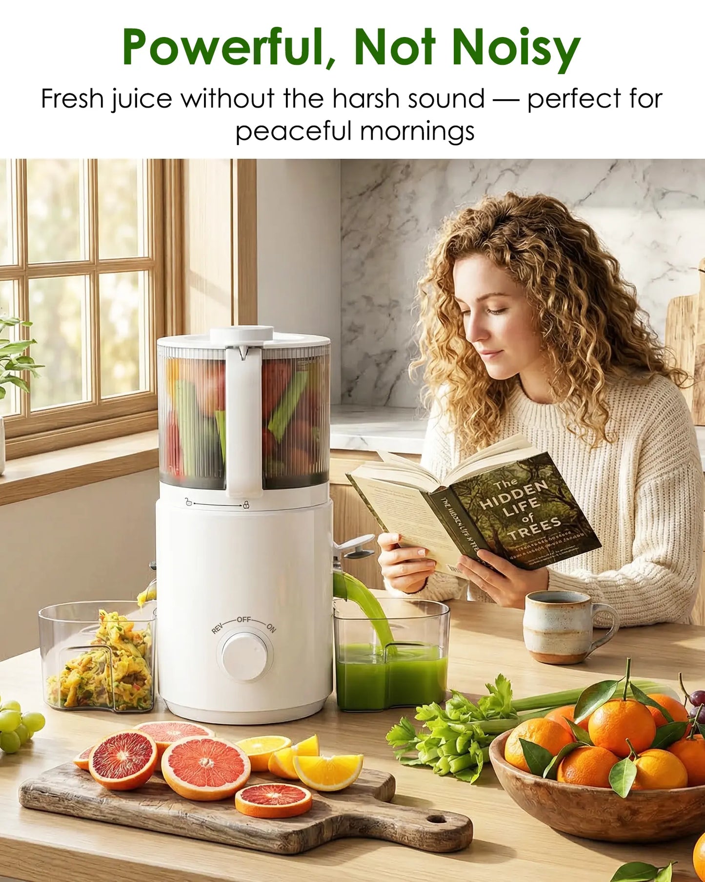 3 in 1 Masticating Juicer for Juice Sorbet & Nut Milk